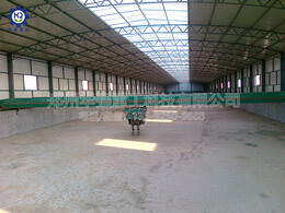 新型有機肥濕法造?，F(xiàn)場